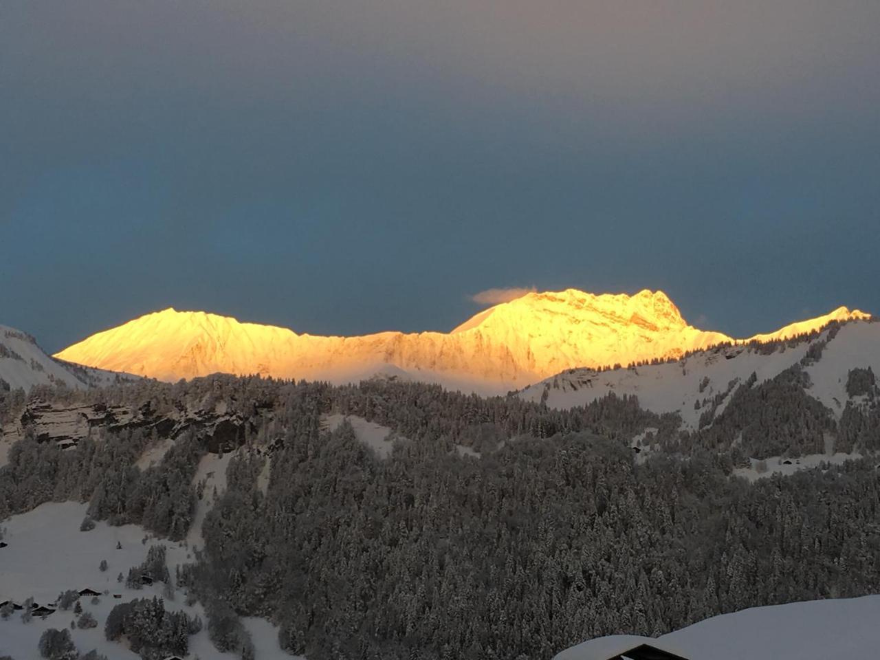 Chalet Nanook Notre-Dame-de-Bellecombe Kültér fotó